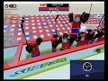 playing ro hockey in roblox