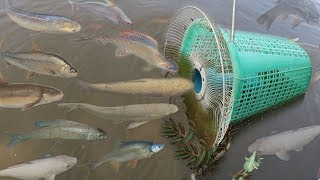 Creative Girl Make Fish Trap Using PVC - Fan Guard -  Basket To Catch A Lot of Fish