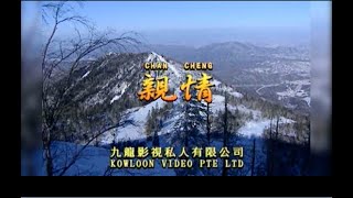 亲情 I  粵語  I  流行金曲  I  伴奏  I   KTV I KARAOKE版