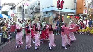 阿波おどり【灯連】（あかし連）清瀬ふれあいロード夏まつり2019@うどん屋