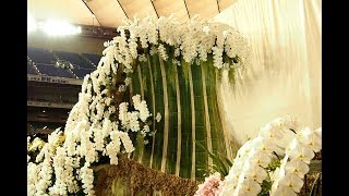 世界らん展日本大賞2018 in 東京ドーム 『Japan Grand Prix・蘭・International Orchid Festival』