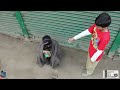 Download Mother and Son - Young boy and his inner Conflicts - Gajali To Mp4 3Gp Full HD Video 2