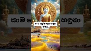 කාම ලෝක තුන.🙏😇 #කාමලෝකතුන #බුදුන්වදාලධර්මය #බුදුරදුන් #budddha #trending #fypシ゚viral #බුදුදහම