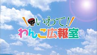 【いわて！わんこ広報室】 第46回「復興に尽力する応援派遣職員　～岩手県の復興に向けた全国からの支援～」