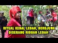 PANIK HAMPIR T3W4S ‼️ BONGKAR RITUAL KEBAL LEBAH, PESULAP MERAH DISERANG RIBUAN LEBAH - ILMU MERAH