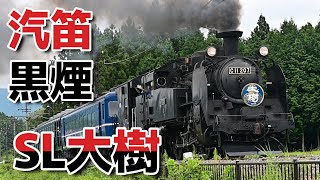 【汽笛 ! 黒煙を吐くSL大樹】倉ケ崎付近 [Steam whistle! SL Taiju emitting black smoke] Near Kuragasaki