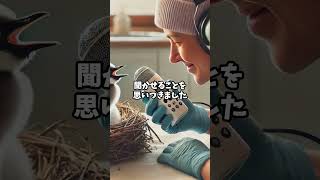 ペンギンの感動話#shorts  #雑学 #動物