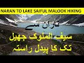 Naran to Saiful Malook Lake hiking