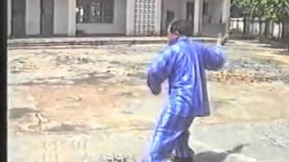 Yang Zhen Ji  - Yang Cheng Fu Taiji Quan, Jian, Dao