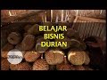 BELAJAR BISNIS DURIAN