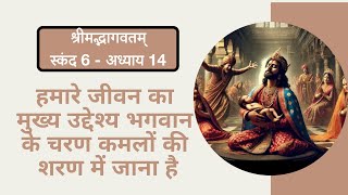 Bhagavata Pravesh 555 -Canto 6 Chap 14 Part 1  - 18 Jan 2025 - King Citraketu’s Lamentation