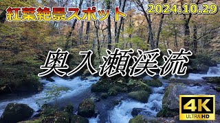 【絶景紅葉の奥入瀬渓流】紅葉シーズン真っ只中の奥入瀬（おいらせ）です。今年は、見頃が少々遅れたのが幸いしました（2024.10.29）