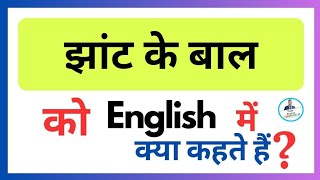 झांट के बाल in English / झांट के बाल Meaning in English / झांट के बाल को इंग्लिश में क्या बोलते हैं?