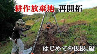 【耕作放棄地再生】はじめての抜根