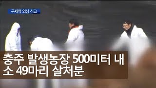 충주 구제역 발생 농장 주변 살처분 시작ㅣMBC충북NEWS