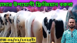 @আজ বৃহস্পতিবার ০৬-০২-২০২৫ ইং খামার উপযোগী ফ্রিজিয়ান বকনা কেমন দামে বিক্রি হচ্ছে|cow market| cow