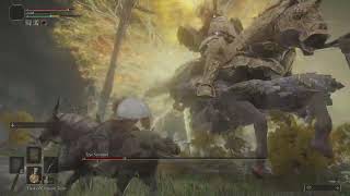 Elden Ring - Tree Sentinel - Mounted Combat