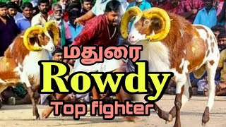 Rowdy 😎| KDNL Dragon Group| #muttu #keda #madurai