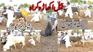 Bail Akara(بیل کراہ ) Chakwali Karah Bhuwanj(Part 2) Sarai Alamgir Punjab 2019 ...Akash TV