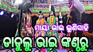 ଲୁଣିସାହି ମାୟା ଭାଇ ପାଟିର ଡାଡୁଲୁ ଭାଇଙ୍କ କମାଲ mo-8327743720