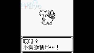 第一世代【精靈寶可夢】Pokemon - 進化表現 - No.0086小海獅[Lv34]-No.0087白海獅 #神奇寶貝 #口袋妖怪