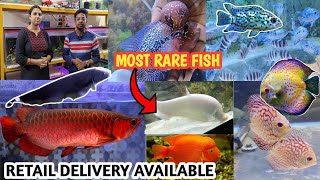 IMPORTED AQUARIUM FISH PRICE UPDATE| SUVECHYA AQUA | RISHRA HOOGHLY| ALL  FISH DELIVERY AVAILABLE