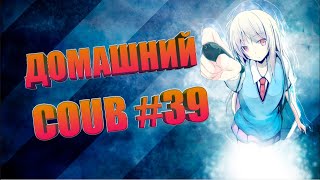 Домашний COUB #39