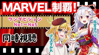 【同時視聴コラボ】MARVEL制覇！ワンダビジョン第１話〜第５話【はなのすみれ先生コラボ】