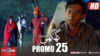 Ghughi | Episode 25 Promo | TV One | Mega Drama Serial | 5 July 2018