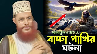 আজরাইল আঃ ও বাচ্চা পাখির কাহিনি।। আল্লামা দেলোয়ার হোসেন সাঈদি Dalwar Hossain Saidi 2025