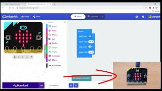 Heart Beating Animation - BBC Micro:bit Projects 2021 + ( Python Programming)