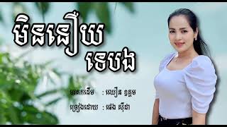 មិននឿយទេបង Cover Pheng Sida