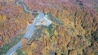 シャトーテル塩沢　魚沼スカイライン　紅葉　南魚沼市　新潟県