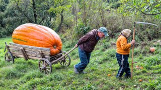 LONELY Grandma \u0026 Son in CARPATHIAN Village | Hard Mountain Life | Ancient Traditions