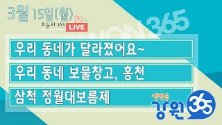 [강원365_3월15일(월) 방송] 우리 동네가 달라졌어요~/우리 동네 보물창고, 홍천/삼척 정월대보름제 총정리