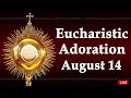 Powerful Eucharistic Adoration I Wednesday August 14 2024 I 3.00 Pm