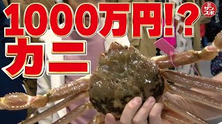 【このカニ1000万円??】神戸中央卸売市場で開催の「魚河岸デー」。模擬セリ、マグロ解体、お魚さばき方教室など大盛況!