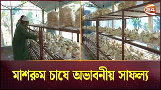 মাশরুম চাষ করে সফল নাটোরের আজিম হোসেন | Mushroom Cultivation | Azim Hossain | Channel 24