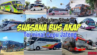 Suasana bus akap Terminal Cepu terbaru