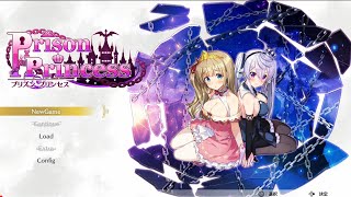 お姫様脱出ＡＤＶ#3【プリズンプリンセス/Prison Princess】