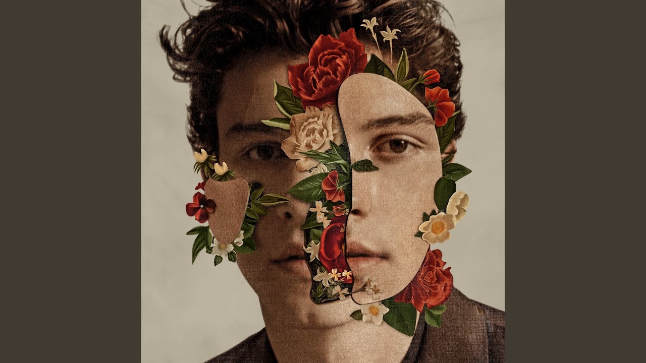 Shawn Mendes - Perfectly Wrong Shawn Mendes - Perfectly Wrong