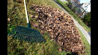 Suburban Leaf Litter and Overwintering Insects