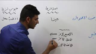 ادوات الشرط الجازمة / اللغة العربية الثالث متوسط + نصائح من الاستاذ ضرغام فاضل