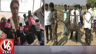 Cheetah Found Dead In Lingampet Mandal Of Kamareddy District | V6 News