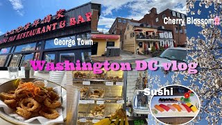 一泊二日ワシントンＤＣ旅行vlog [アメリカ生活] |春休み|/|Georgetown|