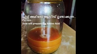 egg amino acid.. എഗ്ഗ് അമിനോ ആസിഡ് ഉണ്ടാക്കുന്ന വിധം/No.7 egg amino acid.. എഗ്ഗ് അമിനോ ആസിഡ് ഉണ്ടാക്കുന്ന വിധം/No.7