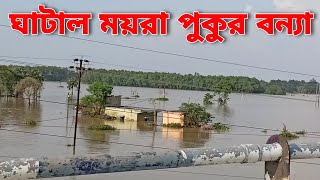 ঘাটাল ময়রা পুকুরের সামনে ১,২,৩ নং চাথালের ভিডিও - সরাসরি ঘাটাল থেকে | 2nd time Flood in Ghatal 2021