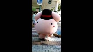 もち‐うさぎin万代ファミリーフェスタ2016