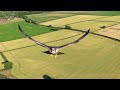 Bird attack on a drone by a Peregrine Falcon