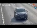 kitten narrowly avoids being hit by several cars on russian motorway